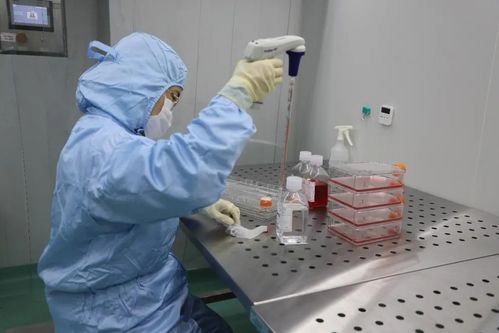 深圳康泰生物新冠灭活疫苗在广西投入使用 关键技术解析与公众关切解答