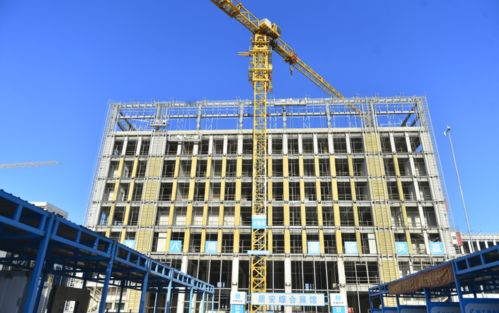 国家合成生物技术创新中心天津奠基，生物化工研发新篇章即将开启