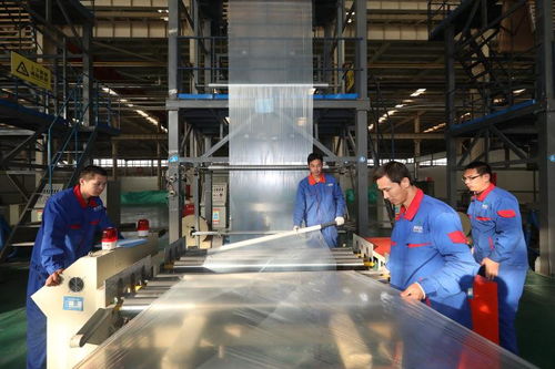 PBAT型生物降解地膜产品研发 生物化工技术创新引领绿色农业未来