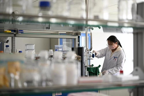 解码信心 一家生物技术企业的创新密码与发展蓝图